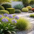 découvrez les plantes idéales pour créer un jardin design alliant esthétique et harmonie. conseils pour choisir les végétaux parfaits et sublimer votre espace extérieur.