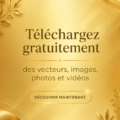 Une sélection d'images et vidéos gratuites à télécharger